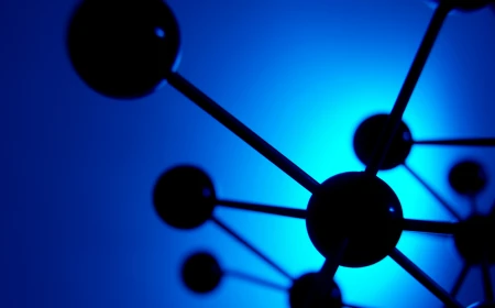 Breakthroughs in Materials Science: a Milano-Bicocca il Nobel Susumu Kitagawa e la Vicepresidente ERC Nicola Spaldin