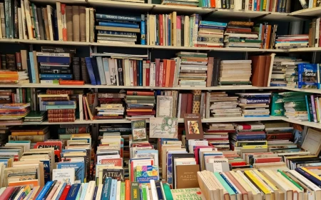 Fondo libri, 60 milioni di euro per le biblioteche italiane: oltre 1.400 biblioteche raccontano i risultati dell'intervento