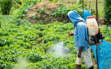 Università di Parma, pesticidi come farmaci: il progetto Per-BIO contro le resistenze