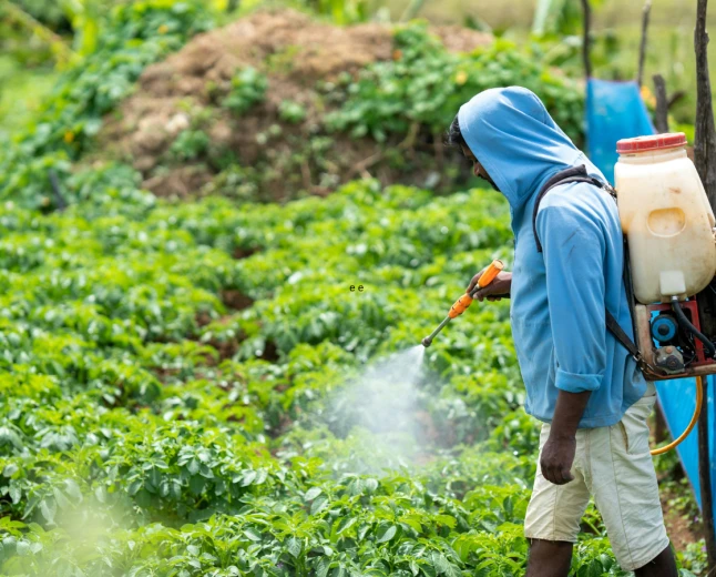 Università di Parma, pesticidi come farmaci: il progetto Per-BIO contro le resistenze