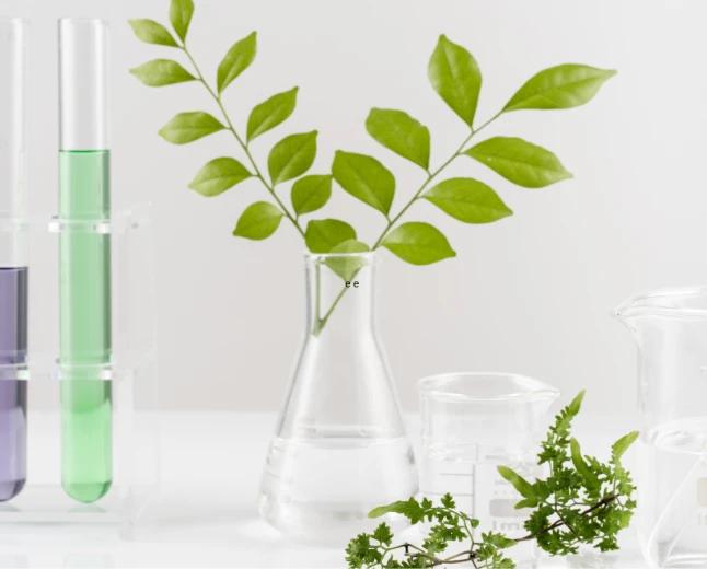 Università di Padova, Piante & Salute 3.0 mette a fuoco l'inflammaging: officinali e invecchiamento