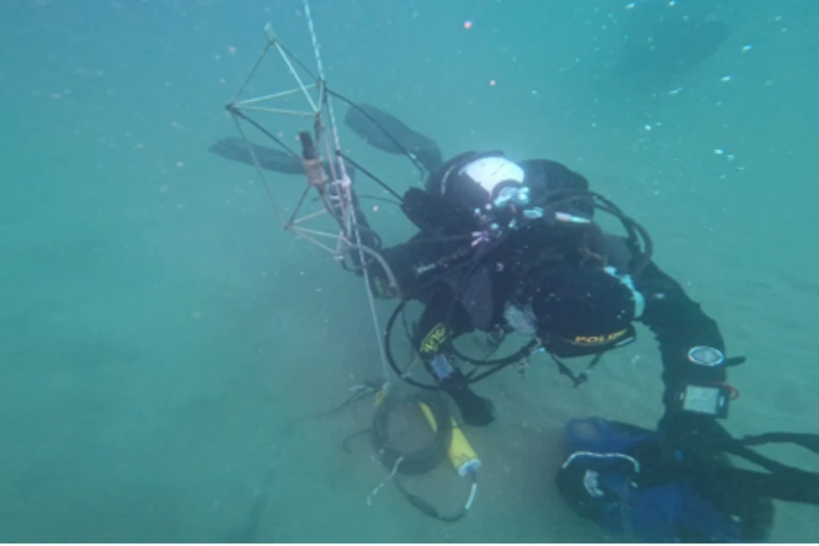 CNR, i suoni sottomarini come termometro della salute del mare