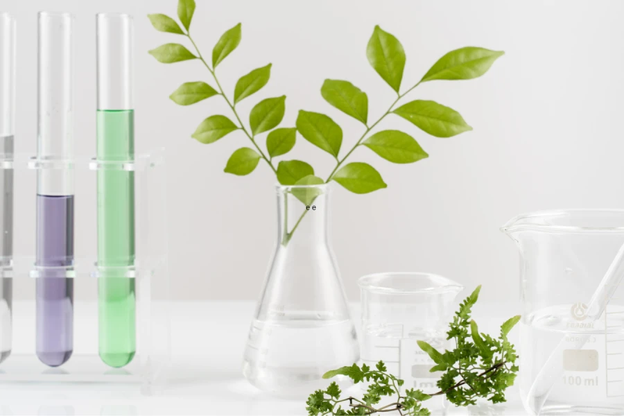 Università di Padova, Piante & Salute 3.0 mette a fuoco l'inflammaging: officinali e invecchiamento