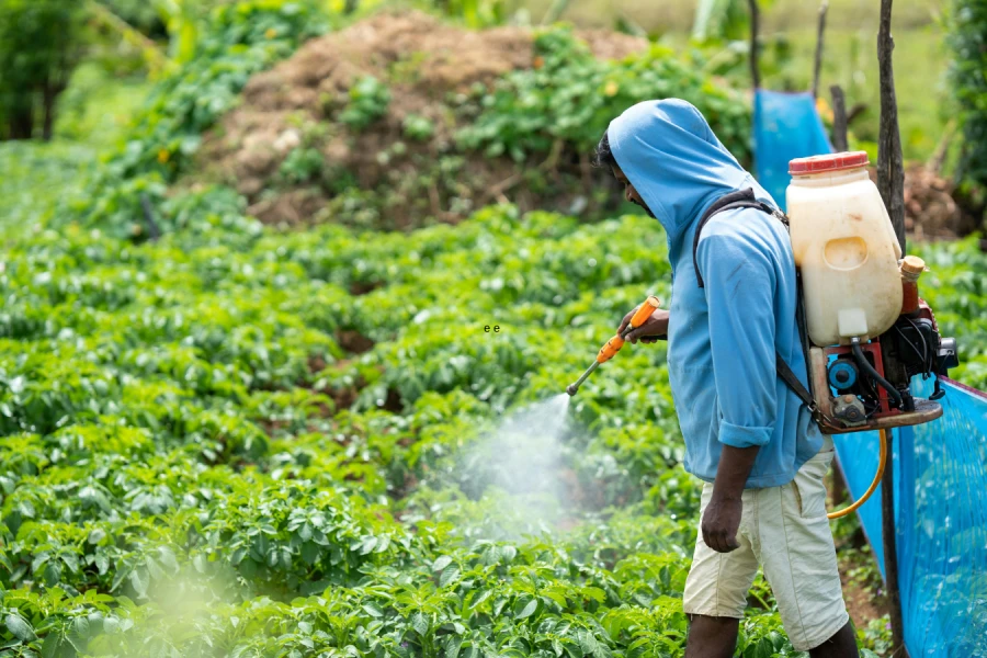 Università di Parma, pesticidi come farmaci: il progetto Per-BIO contro le resistenze